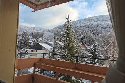 2-Raum-Wohnung in Bad Harzburg zu vermieten mit Bergblick