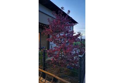 Haus zum Kaufen in Langensendelbach 1.100.000,00 € 178 m²