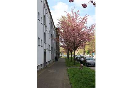 Wohnung zum Mieten in Herne 442,20 € 66 m²