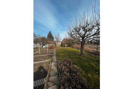 Pachtgarten - 800,00&nbsp;EUR Kaltmiete, ca.&nbsp; 0,00&nbsp;m&sup2; in Halle (Saale) (PLZ: 06118) Frohe Zukunft