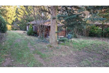 Wochenendhaus Freizeitgrundstück - Bad Dürkheim