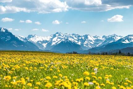 APRILWOCHEN in OBERSTDORF - 60,00&nbsp;EUR Kaltmiete, in Oberstdorf (PLZ: 87561)