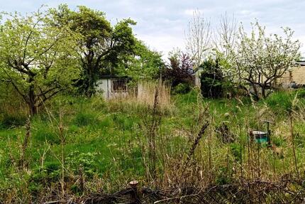 Kleingartenparzelle - Reutershagen Gartenstadt - Rostock Hansaviertel