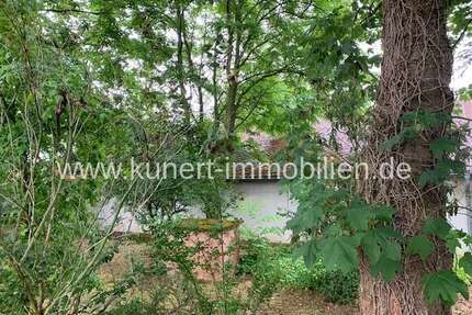 Wohnung zum Kaufen in Halle (Saale) Reideburg 315.000,00 € 64.89 m² - Halle (Saale) / Reideburg