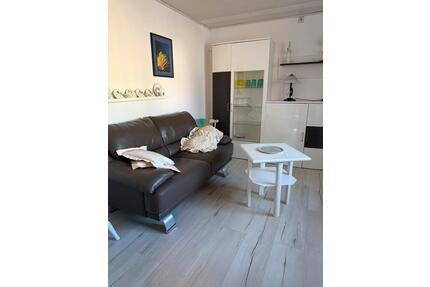 2 Zimmer Single Wohnung möbliert zu vermieten - Albersdorf