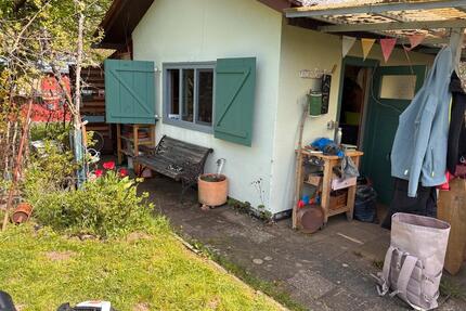 Romantischer Kleingarten im Verein Giesewiesen - Kassel Vorderer Westen