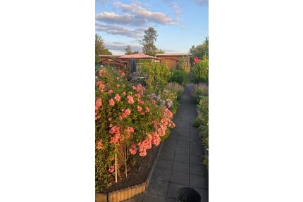 Gepflegter Kleingarten (300 m²) in Pirna - Dresden Leuben