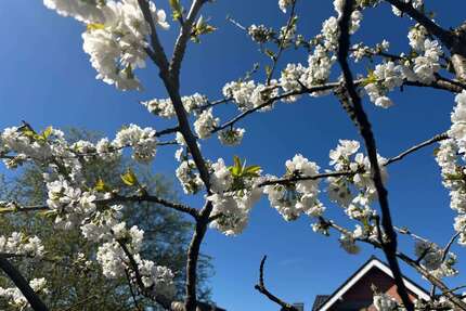 Grundstück zu verkaufen in Castrop-Rauxel 224.000,00 € 560 m²