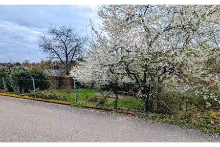 SchrebergartenKleingarten - 20,00&nbsp;EUR Kaltmiete, ca.&nbsp; 0,00&nbsp;m&sup2; in Aglasterhausen (PLZ: 74858)