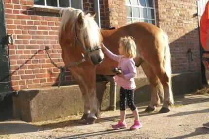 Ostsee Fehmarn Ferienhof Ferienwohnung Ponyreiten Spielscheune