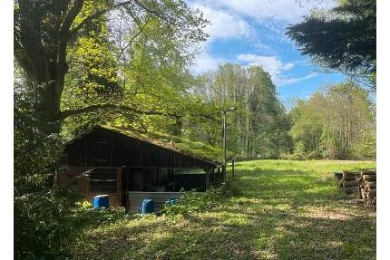 IHR GANZ PRIVATES STÜCK NATUR - 59.000,00&nbsp;EUR Kaufpreis, ca.&nbsp; 7.500,00&nbsp;m&sup2; in Kuppenheim (PLZ: 76456)