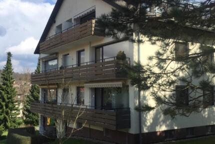 Voll renovierte 3 Z. Wohnung. Top Zustand - Bad Sachsa