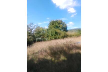 Pacht Garten bei Monzingen mit Hütte verk. - Obermoschel