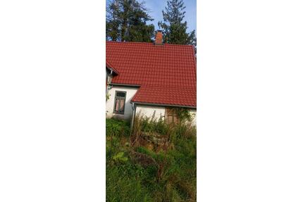 Pferdestall und Häuschen mit Weiden - Hambergen