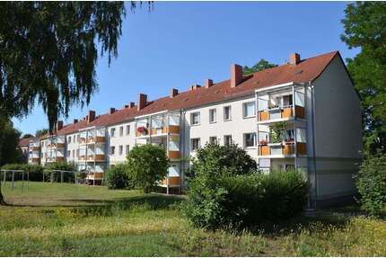 Wohnung zum Mieten in Sangerhausen 320,00 € 52 m²