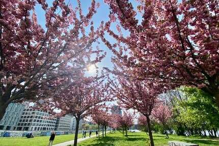 Wohnung zum Mieten in Berlin 1.450,61 € 63.07 m²