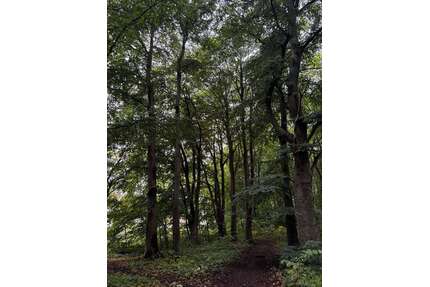 Grundstück zu verkaufen in Hohenlockstedt 72.000,00 € 31665 m²