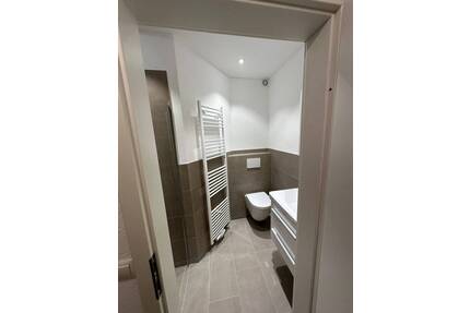Selbst einziehen oder für KA, Vermietet, renoviert, 540€Monat, Apartment, ca. 40m², 1,5 ZKB, inkl. EBK. - Ludwigshafen am Rhein Maudach
