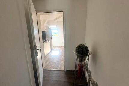 Einzelapartment in Mannheim Rheinau - Ludwigshafen am Rhein Parkinsel