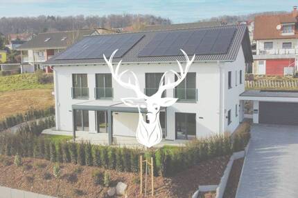 Hochwertige und moderne Doppelhaushälfte B mit nachhaltiger Gebäudetechnik in Tiengen zu verkaufen - Waldshut-Tiengen