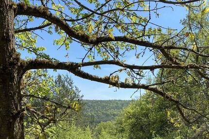Nähe Regensburg - idyllisches Freizeitgrundstück auf der Girnitz - Duggendorf