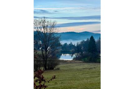 Ferienhaus Bayerischer Wald -ruhig gelegen, Hunde erlaubt - Falkenstein