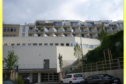 Perfekte Singlewohnung mit Einbauküche in zentraler Lage! - Dresden Cotta