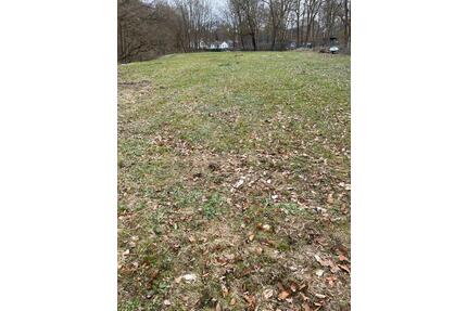 Wiese zu verpachten in 21465 Wentorf - Reinbek