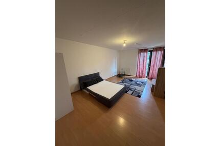 Mietwohnung - 750,00&nbsp;EUR Kaltmiete, ca.&nbsp; 30,00&nbsp;m&sup2; in Offenbach am Main (PLZ: 63067) Hafen