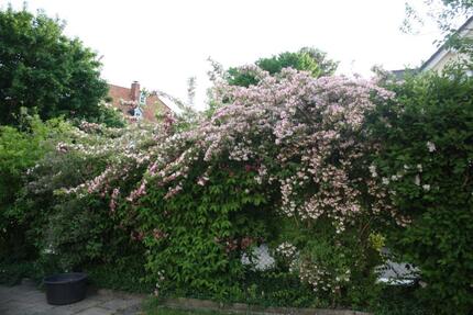 Wohn-und Geschäftshaus in Rosdorf zu verkaufen