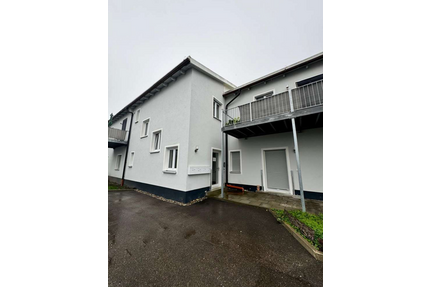 Wohnung zum Mieten in Dillingen an der Donau 600,00 € 41 m²