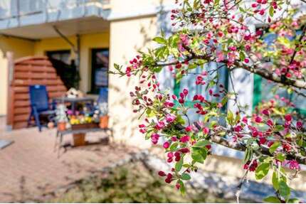 Wohnung zum Mieten in Borsdorf OT Panitzsch 410,00 € 47.84 m²