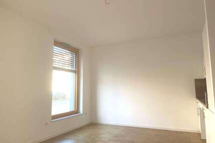 Wohnung zum Mieten in Greifswald 500,00 € 34.5 m²