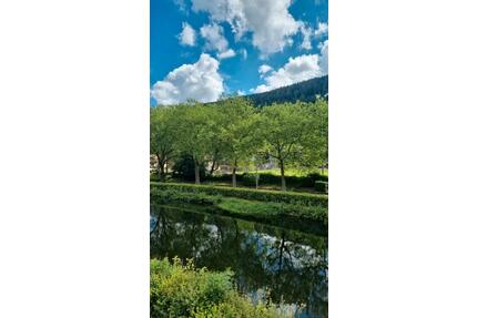 4 ZKB in Calmbach Bad Wildbad - 1.050,00&nbsp;EUR Kaltmiete, ca.&nbsp; 94,00&nbsp;m&sup2; in Remchingen (PLZ: 75196)