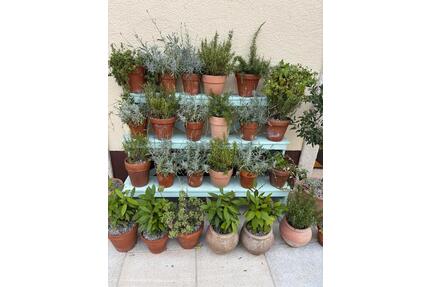 Gartengrundstück direkt am Bachlauf - Gerach