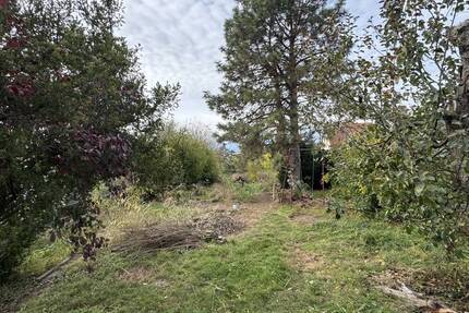 Baugrundstück in Wiedemar mit Potenzial - Ihr ScanHaus verwirklichen