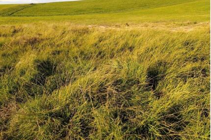 Ökopunkte 260000 Stück 0,8 Euro inkl. in Donau Iller Lech Platte - Leutkirch im Allgäu