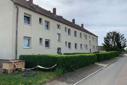 Wohnung zum Mieten in Kemberg 288,97 € 52.54 m²