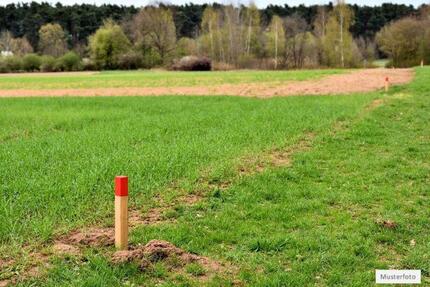 Ohne Makler Land- Forstwirtschaft in 06526 Sangerhausen