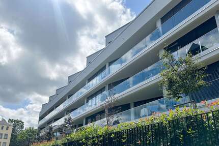 Wohnung zum Mieten in Dresden 730,00 € 56.13 m²