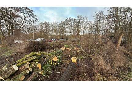 Wohnung zum Kaufen in Eberswalde 136.950,00 € 24.9 m²