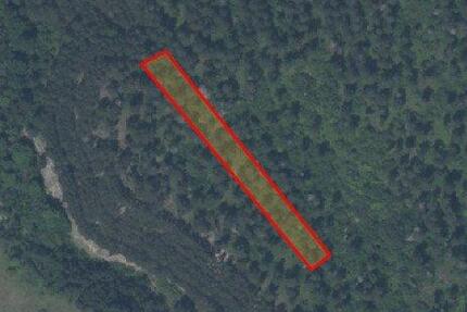 Waldgrundstück mit dichtem Baumbestand – ideal für Holzernte oder Freizeit - Naumburg (Saale)