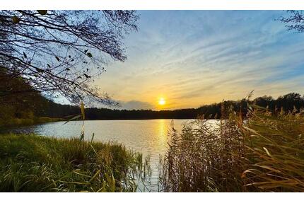 Möbliertes Traumhaus am See - 2.000,00&nbsp;EUR Kaltmiete, ca.&nbsp; 110,00&nbsp;m&sup2; in Eberswalde (PLZ: 16227) Brandenburgisches Viertel