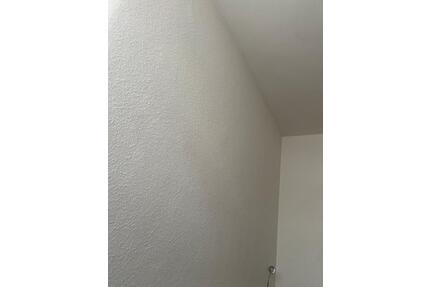 Wgs in Gelsenkirchen Horst - 450,00&nbsp;EUR Kaltmiete, ca.&nbsp; 25,00&nbsp;m&sup2; in Gelsenkirchen (PLZ: 45879)