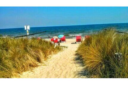 Last Minute 29.8. bis 5.9.26 Ferienwohnung in Koserow Usedom