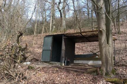 Wald mit Hütte zu verpachten - 65,00&nbsp;EUR Kaltmiete, ca.&nbsp; 0,00&nbsp;m&sup2; in Gesees (PLZ: 95494)