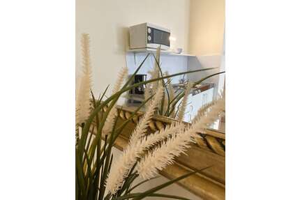 Wohnung zum Mieten in Düsseldorf 850,00 € 27 m²