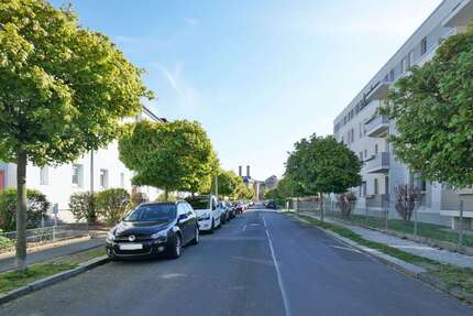 Wohnung zum Mieten in Dresden 396,00 € 50 m²