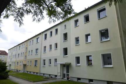 Wohnung zum Mieten in Görlitz 302,00 € 50 m²