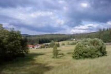 Sehr schöne 2- Zimmer-Eigentumswohnung, Garage, 2 Pkw-Stellplätze - Grafenwiesen